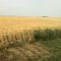 Încărcat de vizitator în 28.11.2016 