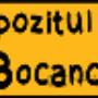 Încărcat de vizitator în 08.05.2016 