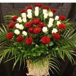 ADRADY & FLORE SRL