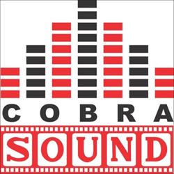 COBRA SOUND SRL