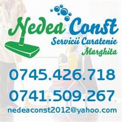 NEDEA CONST SRL
