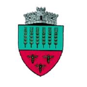PRIMĂRIA GRĂNICEŞTI