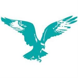 PREDA PUBLISHING SRL