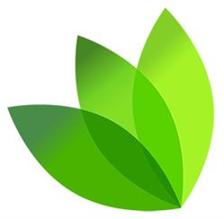 VERDANT ISLE