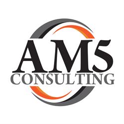AM 5 CONSULTING IMPEX SRL
