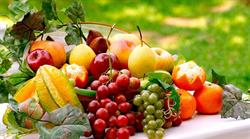 ECOFRUCT SRL
