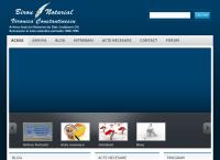 Website Constantinescu Veronica