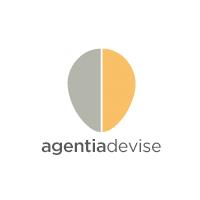 AGENTIA DE VISE SRL