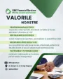 Valorile C