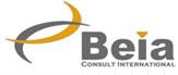 Beia Grid Institut
