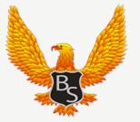 Bronic Security S.r.l