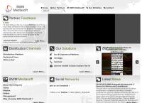 Website Bwm Mediasoft SRL