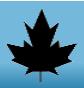 Canad Systems Impex SRL