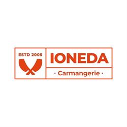 IONEDA COM SRL