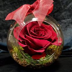 FLORARIA HEAVEN ,SC HEAVEN BLOOMSHOP