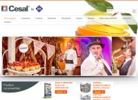 Website Cesal S.a