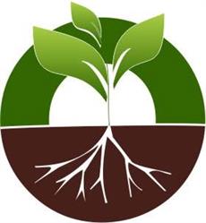 ECO TERRA SRL
