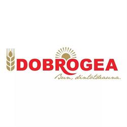 Dobrogea Grup SA