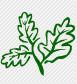 Eden Garden SRL
