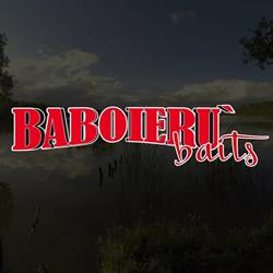 BABOIERU COM SRL