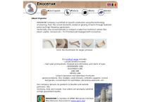 Website Ergostar S.r.l