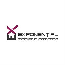 Mobila la comanda - Exponential Consult