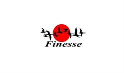 Finesse SRL
