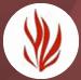 Fire Safety SRL