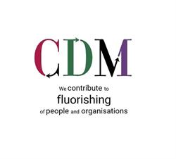 CDM CONSULTING SRL