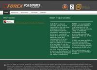 Forex SRL