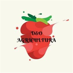 CEREAL D & O AGRICULTURA SRL