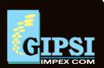 Gipsi Impex Com S.r.l