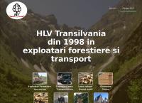 Website Hlv Transilvania S.r.l