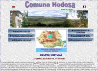 Website Primaria Hodosa