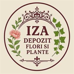 Iza SRL