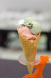 GRAN GELATO SRL