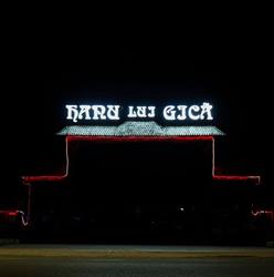 HANU LUI GICA SRL