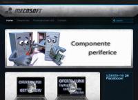 Website Mecosoft SRL