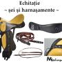 Echitatie - sei si harnasamente