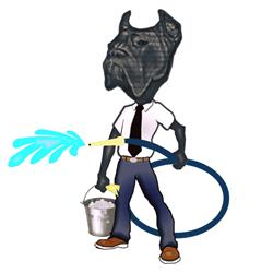 Spalatorie La Olaru
