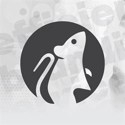 Mouse Media Sevices - Agentie de Branding