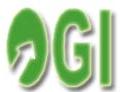 Oltenia Grup Invest SA