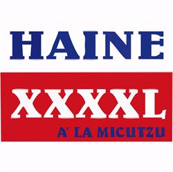 HAINE XXXXL SRL