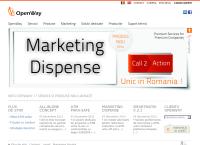 Website Openway Grup SRL