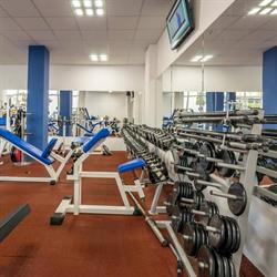 LOTUS GYM SRL
