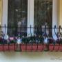Încărcat de vizitator în 18.01.2017  - Jardiniera Pasaj