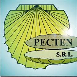 Pecten S.r.l