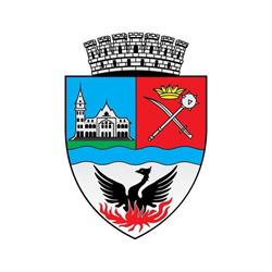 Primaria Municipiului Buzau