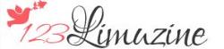 123Limuzine