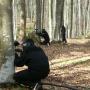paintball1